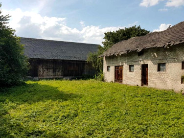 Działka budowlana Ludynia