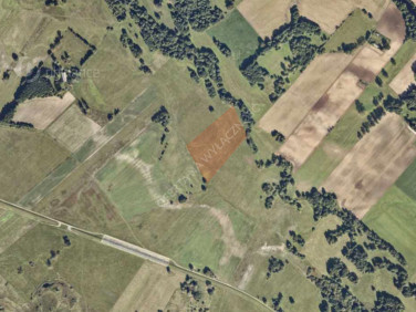 Działka rolna Myśliborskie Holendry