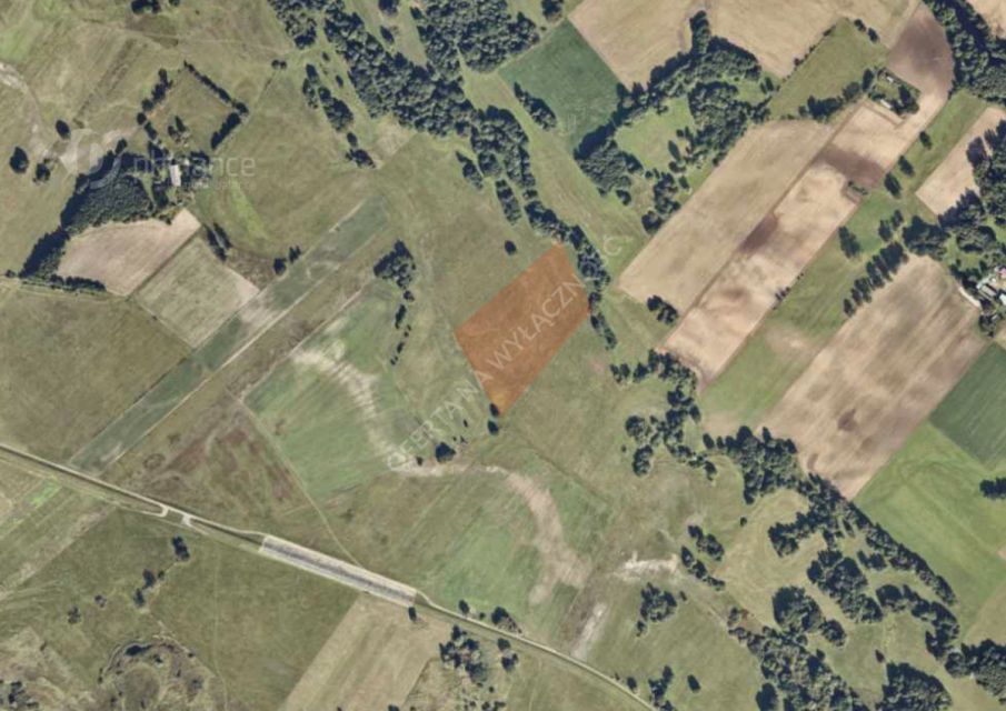Działka rolna Myśliborskie Holendry