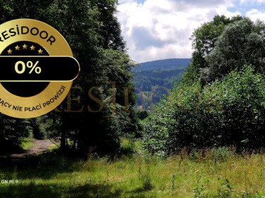 Działka rolna Pieszyce