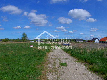 Działka Niedźwiedź