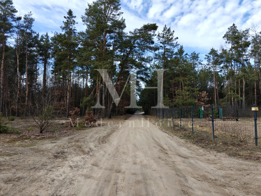 Działka siedliskowa Salomonka