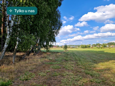 Działka leśna Krynickie