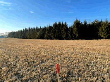 Pusta działka Osie
