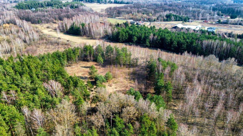 Działka budowlana Piotrkowice