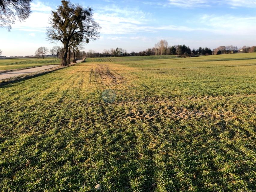 Działka budowlana Stary Dwór