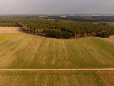Działka rolna Sątopy