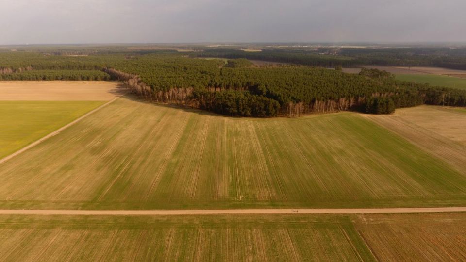 Działka rolna Sątopy