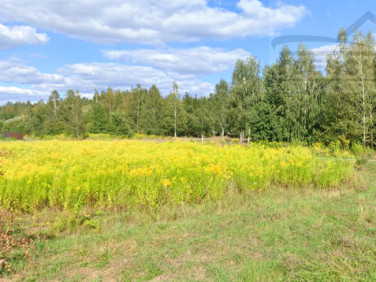 Działka budowlana Ojrzanów