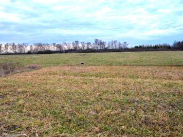 Działka budowlana Psary