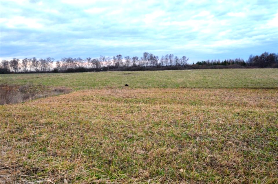 Działka budowlana Psary