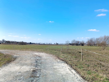 Działka budowlana Markusy sprzedam