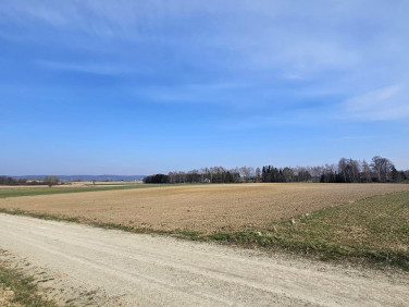 Działka rolna Umieszcz