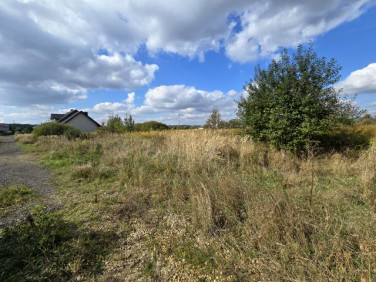 Działka budowlana Preczów