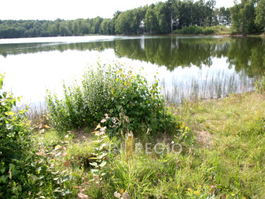 Działka rekreacyjna Teresin