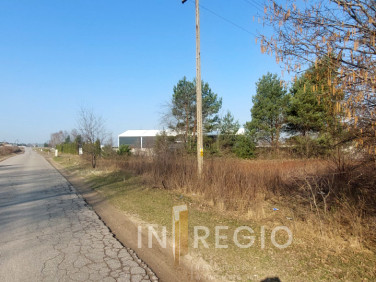 Działka przemysłowa Babichy