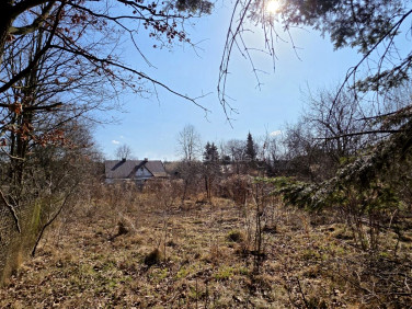 Działka budowlana Biała Podlaska