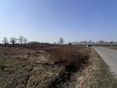 Działka budowlana Dąbrowica