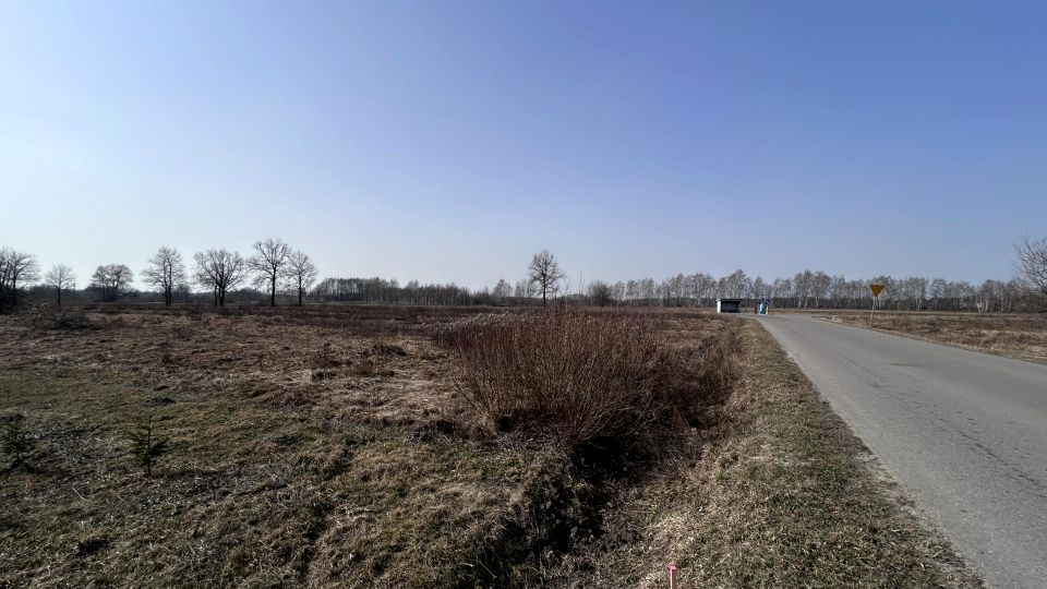 Działka budowlana Dąbrowica