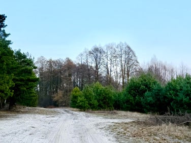 Działka budowlana Zagościniec