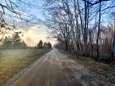 Działka rolna Zagościniec