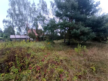 Działka budowlano-rolna Michałów-Reginów