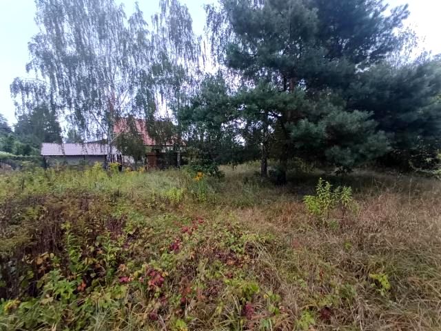 Działka budowlano-rolna Michałów-Reginów