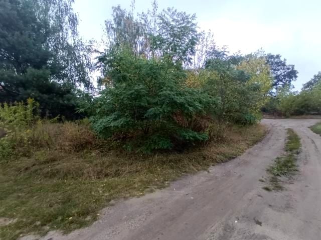 Zdjęcie 3