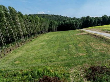 Działka budowlana Będziemyśl