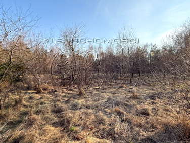Działka budowlana Nowęcin sprzedam