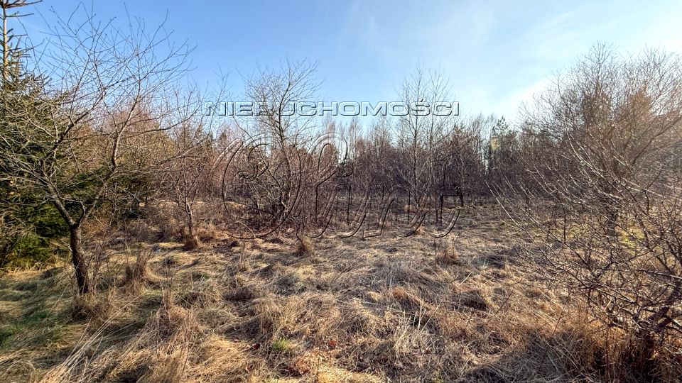 Działka budowlana Nowęcin sprzedam
