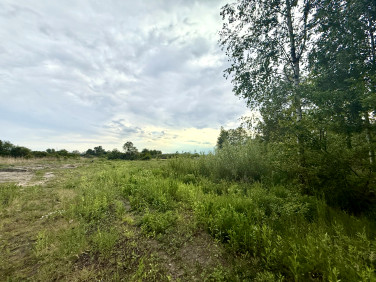 Działka budowlana Nowe Lipiny