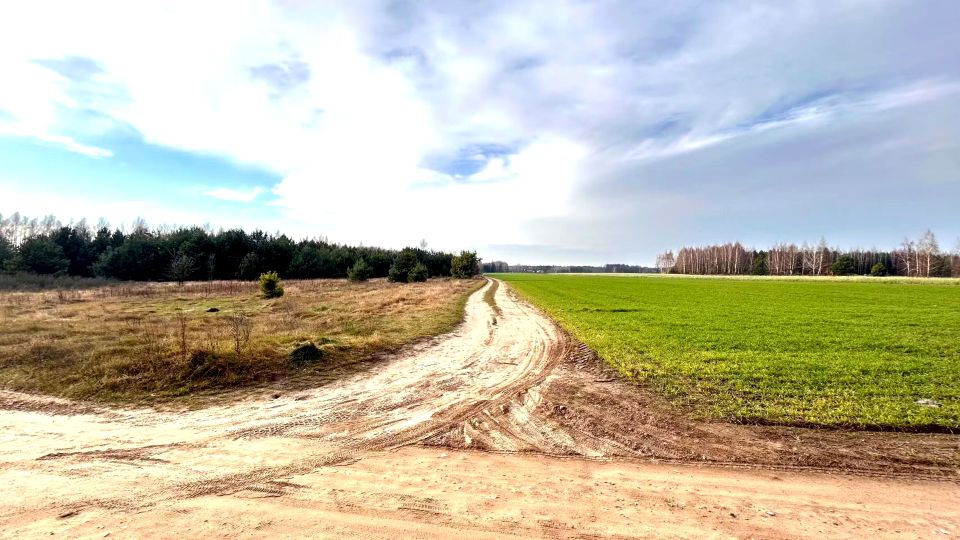 Działka leśna Paulinowo