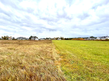 Działka budowlana Dobczyn