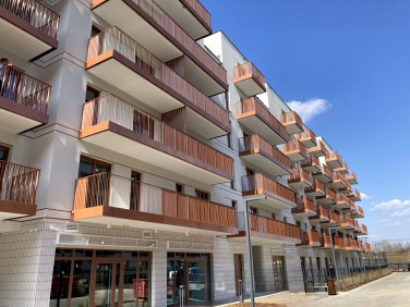 Lokal Warszawa