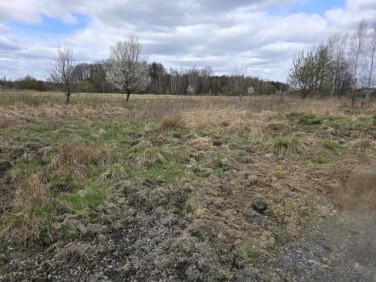 Działka budowlana Preczów