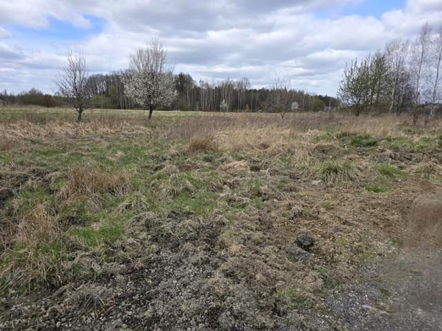 Działka budowlana Preczów