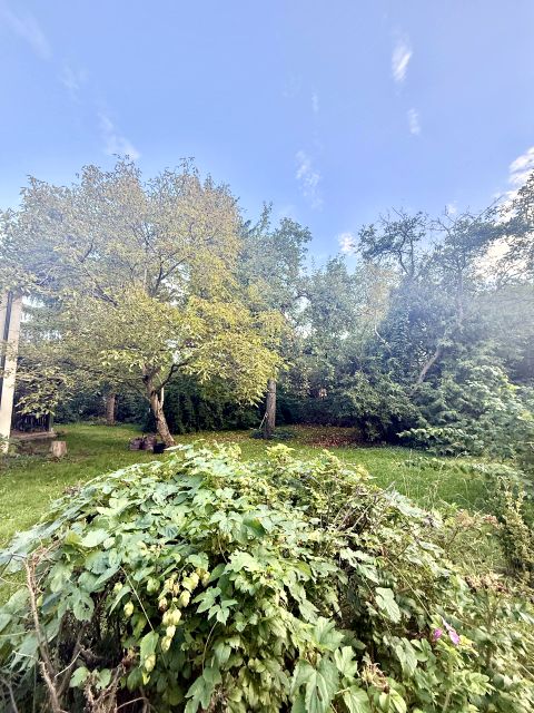 Działka budowlana Wołomin