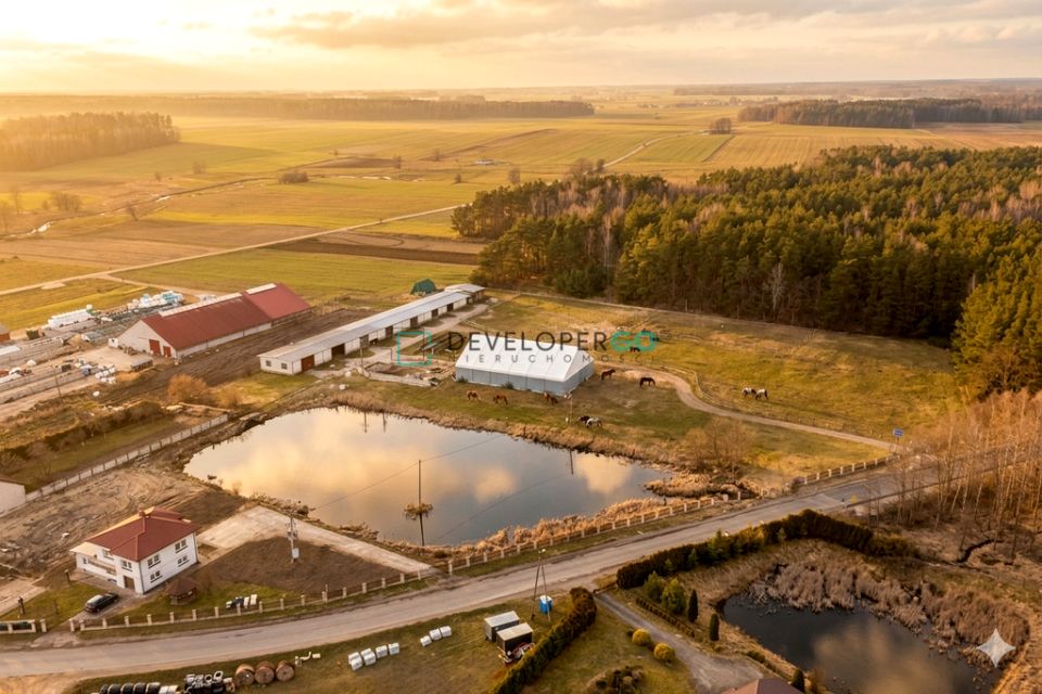 Działka inwestycyjna Dąbrowa-Dzięciel