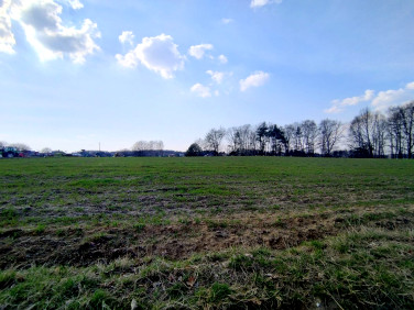 Działka budowlana Rybnik