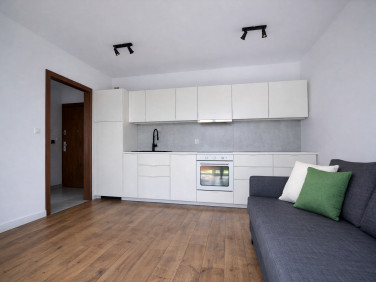 Mieszkanie Kraków wynajem