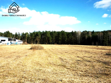 Działka budowlana Głusko Duże-Kolonia