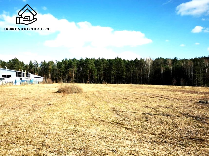 Działka budowlana Głusko Duże-Kolonia