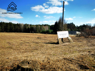 Działka budowlana Głusko Duże-Kolonia sprzedam