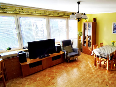 Mieszkanie Toruń sprzedaż