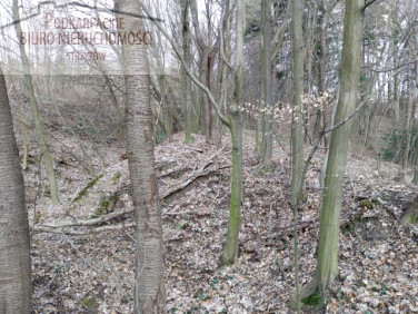 Działka leśna Glinik Górny