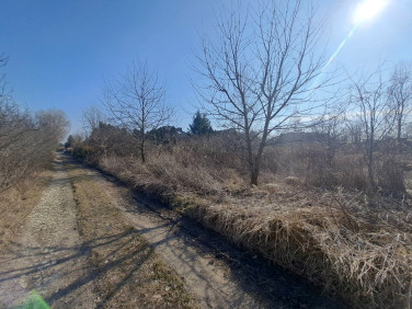 Działka Żurawiniec