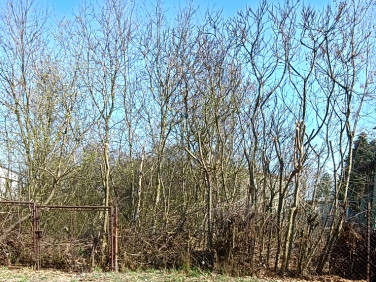 Ogrodzona działka sprzedam