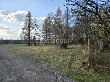 Działka Kolonia Wierzchowisko