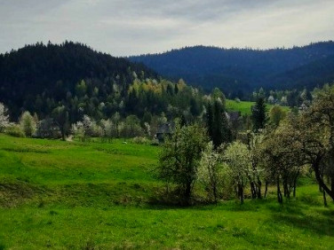 Działka Poręba Wielka